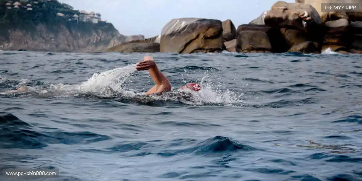 网络游戏全能平台：手机电脑一键畅玩，随时随地点燃热血